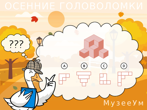 Осенняя головоломка: вид объемной фигуры сверху
