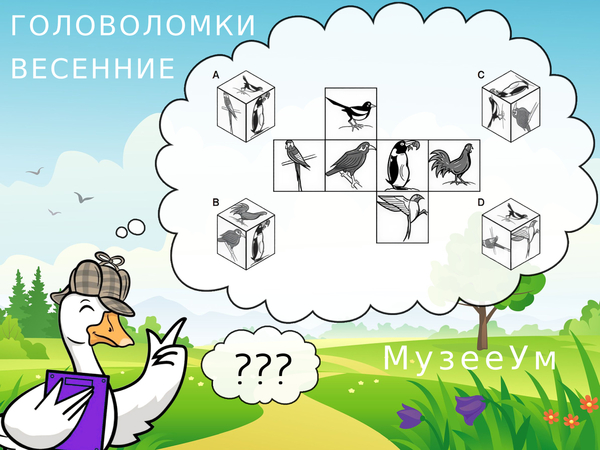 Весенняя головоломка: развертка куба с птицами