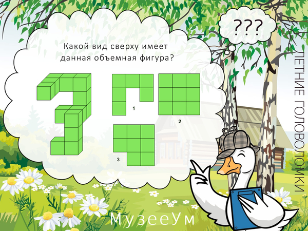 Летняя геометрическая головоломка: выберите нужную фигуру