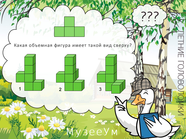 Летняя геометрическая головоломка: выберите нужную фигуру