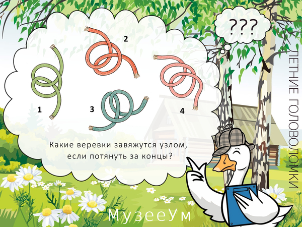 Летняя топологическая головоломка: какие веревки завяжутся узлом?