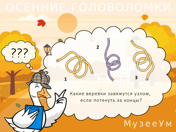 Осенняя топологическая головоломка: какие верёвки завяжутся в узел?