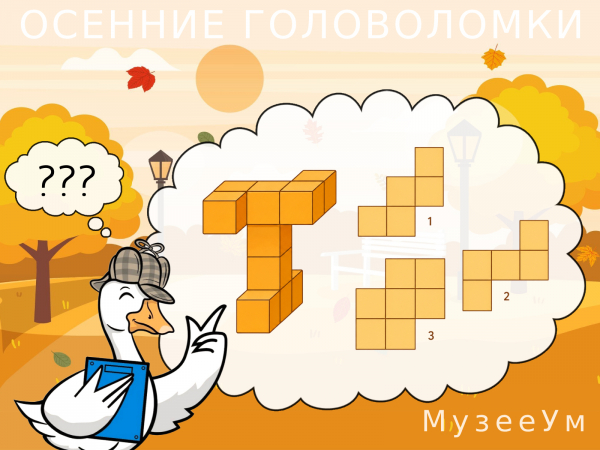 Осенняя головоломка: вид объемной фигуры сверху